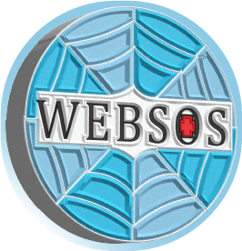 Wordpress Website Developer