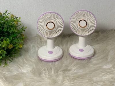 Hand Fan